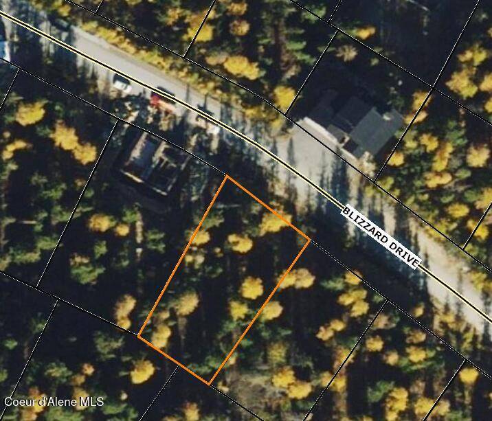 Sandpoint, ID 83864,NKA Blizzard DR