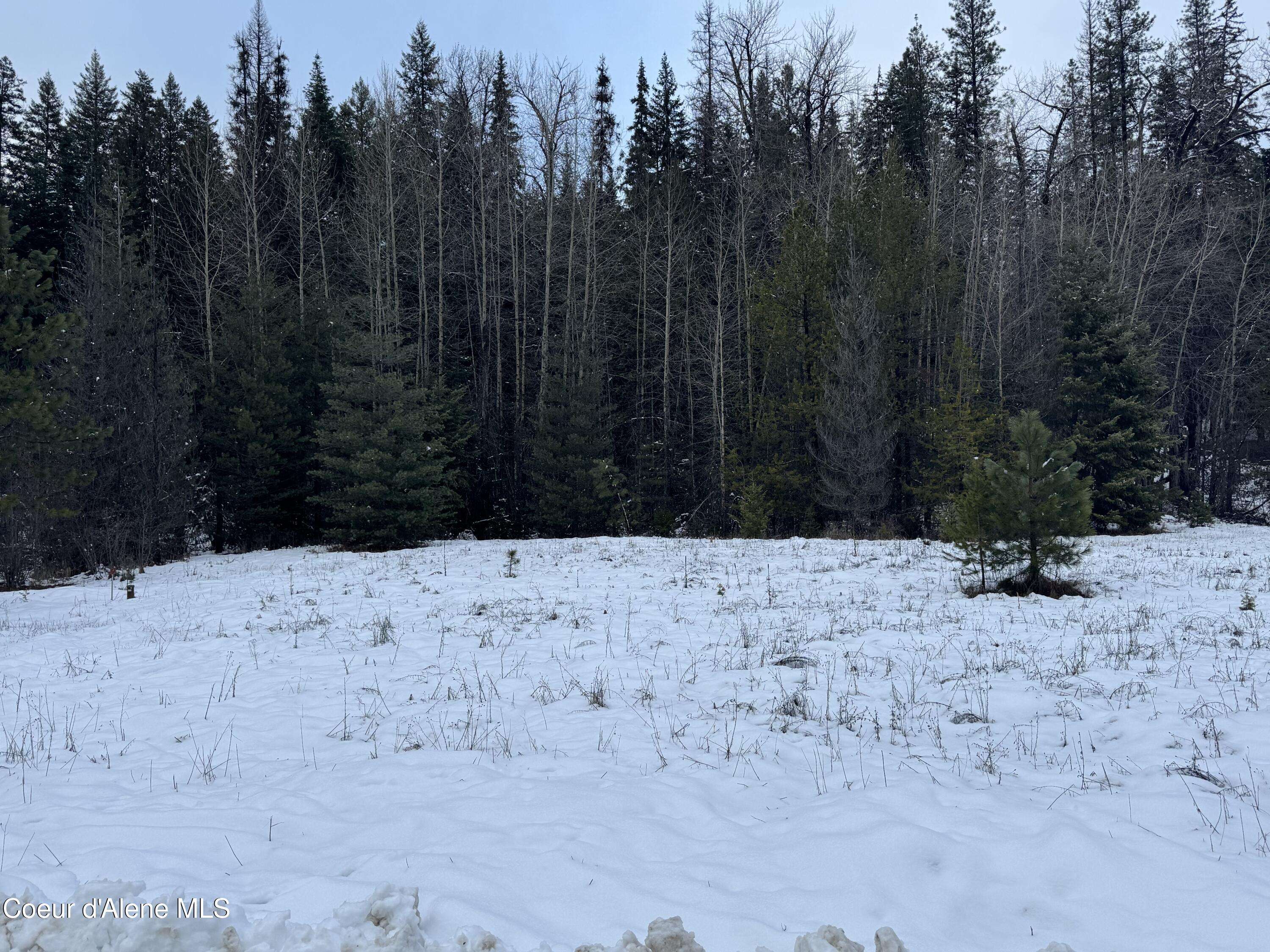 Priest River, ID 83856,8xx Eastriver SPUR