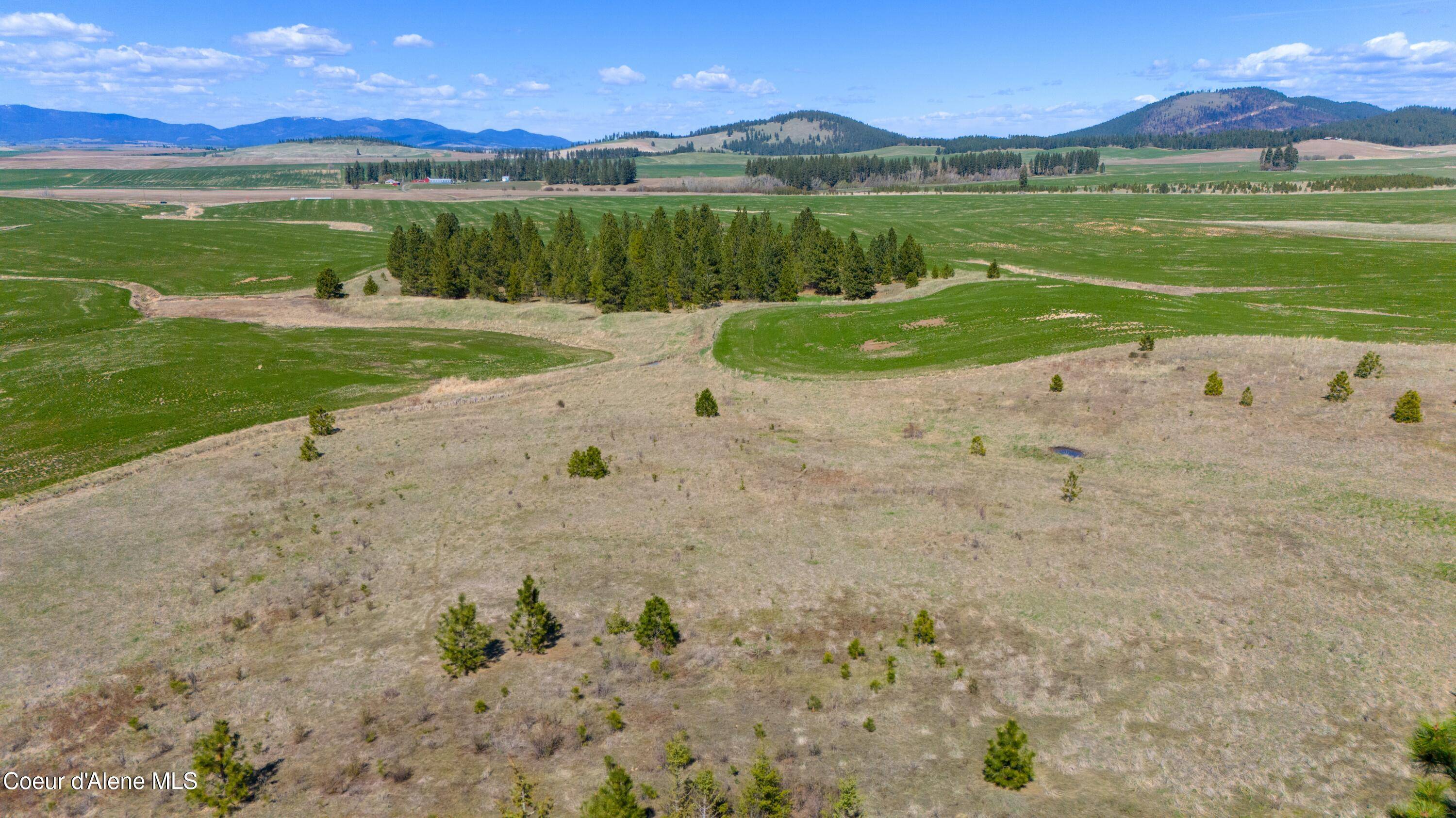 Plummer, ID 83851,Lot 4 Lone Moose Dr