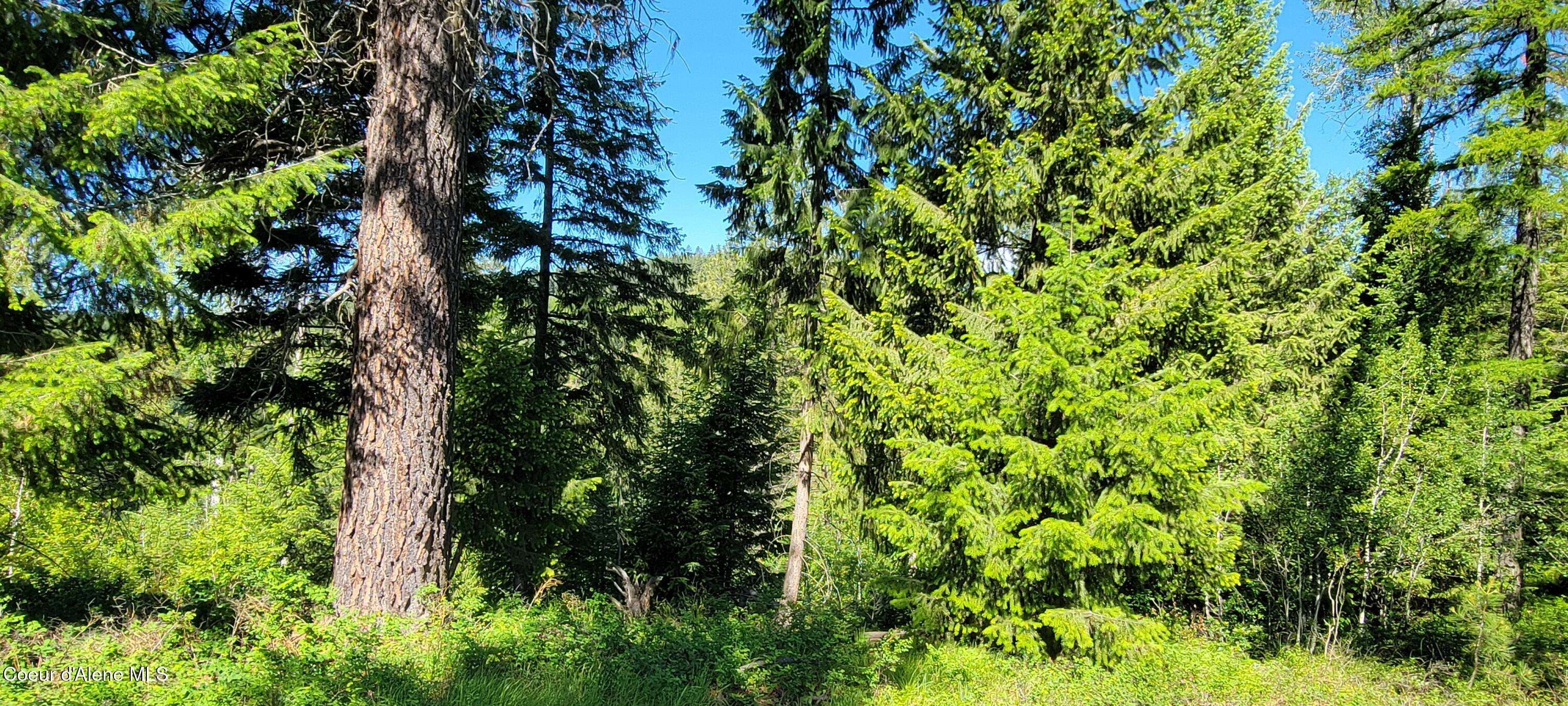 Naples, ID 83847,NNA Falcon Ridge Drive - #1