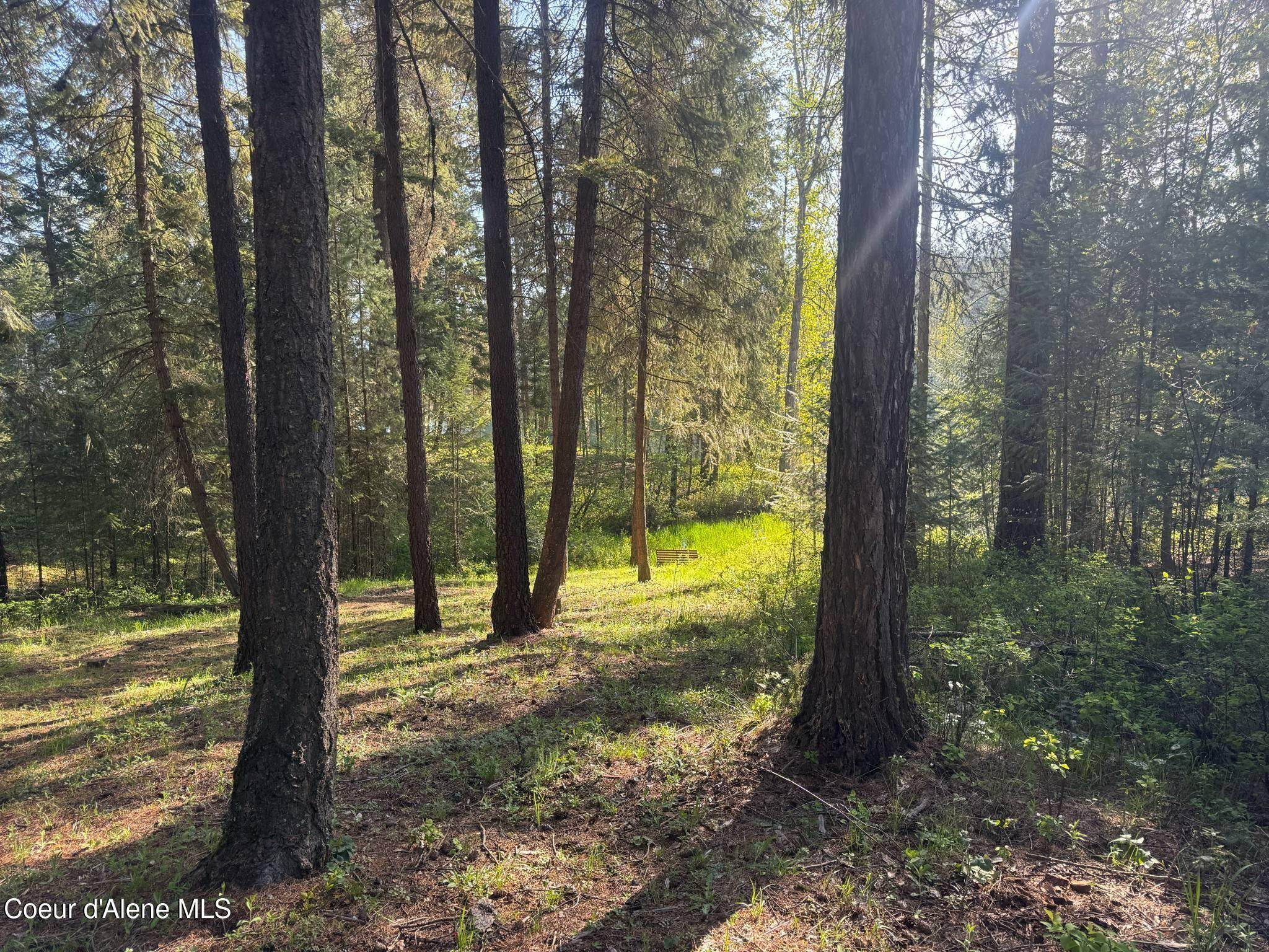 Blanchard, ID 83804,NNA Stewart Dr