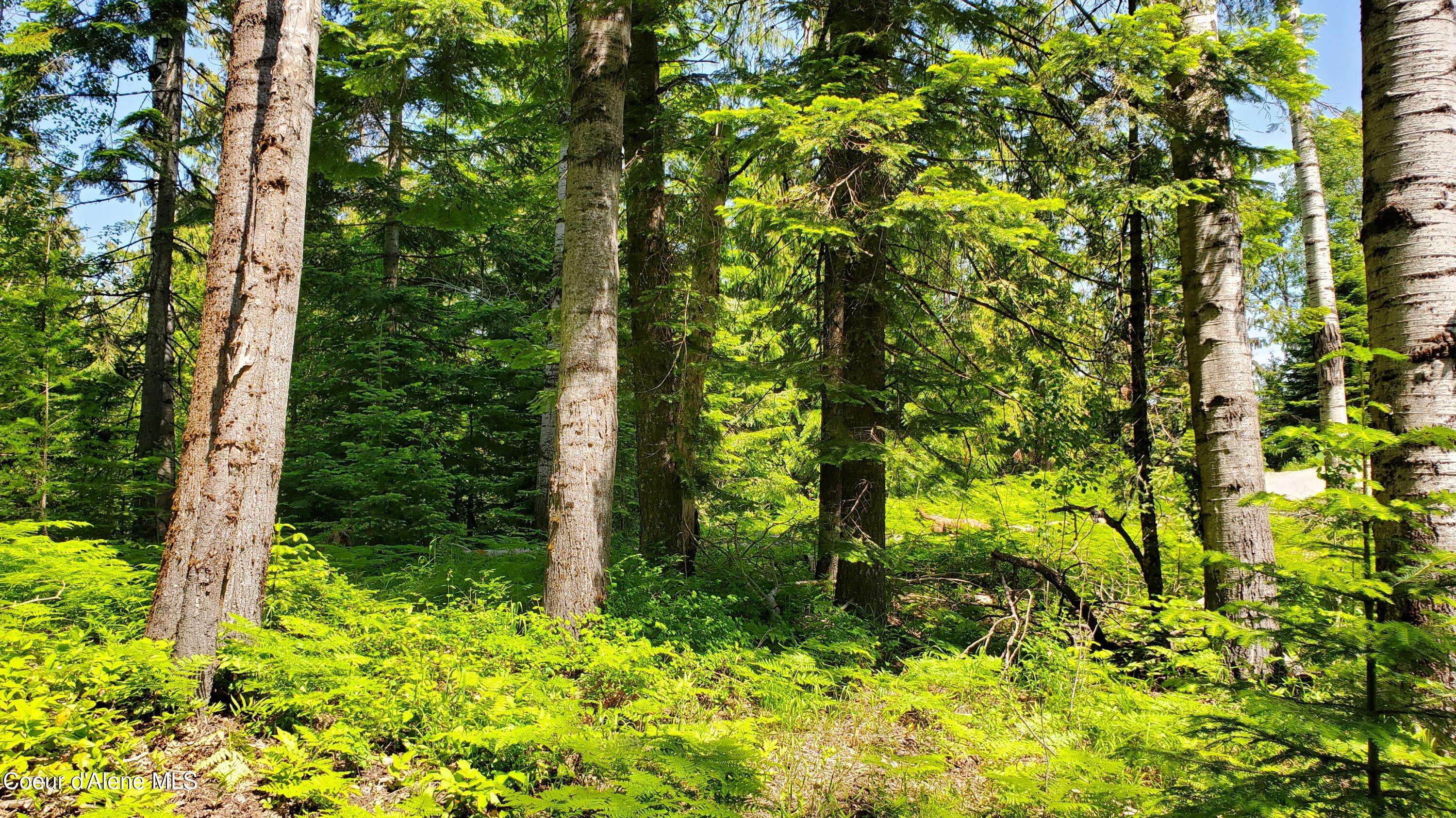 Athol, ID 83801,NKA Trout Pond