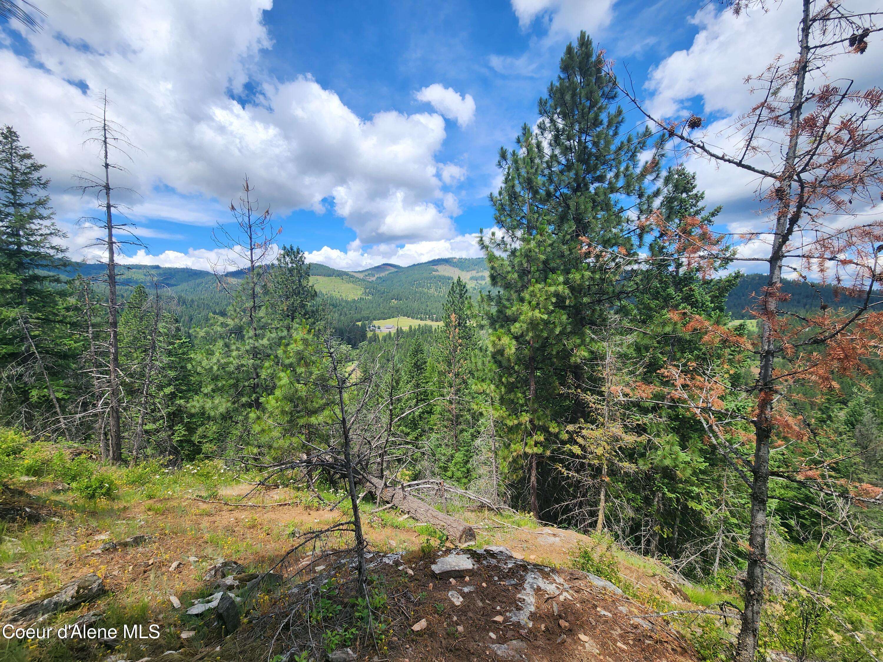 Coeur d'Alene, ID 83814,NNA W 40 Acres Cougar Gulch Rd