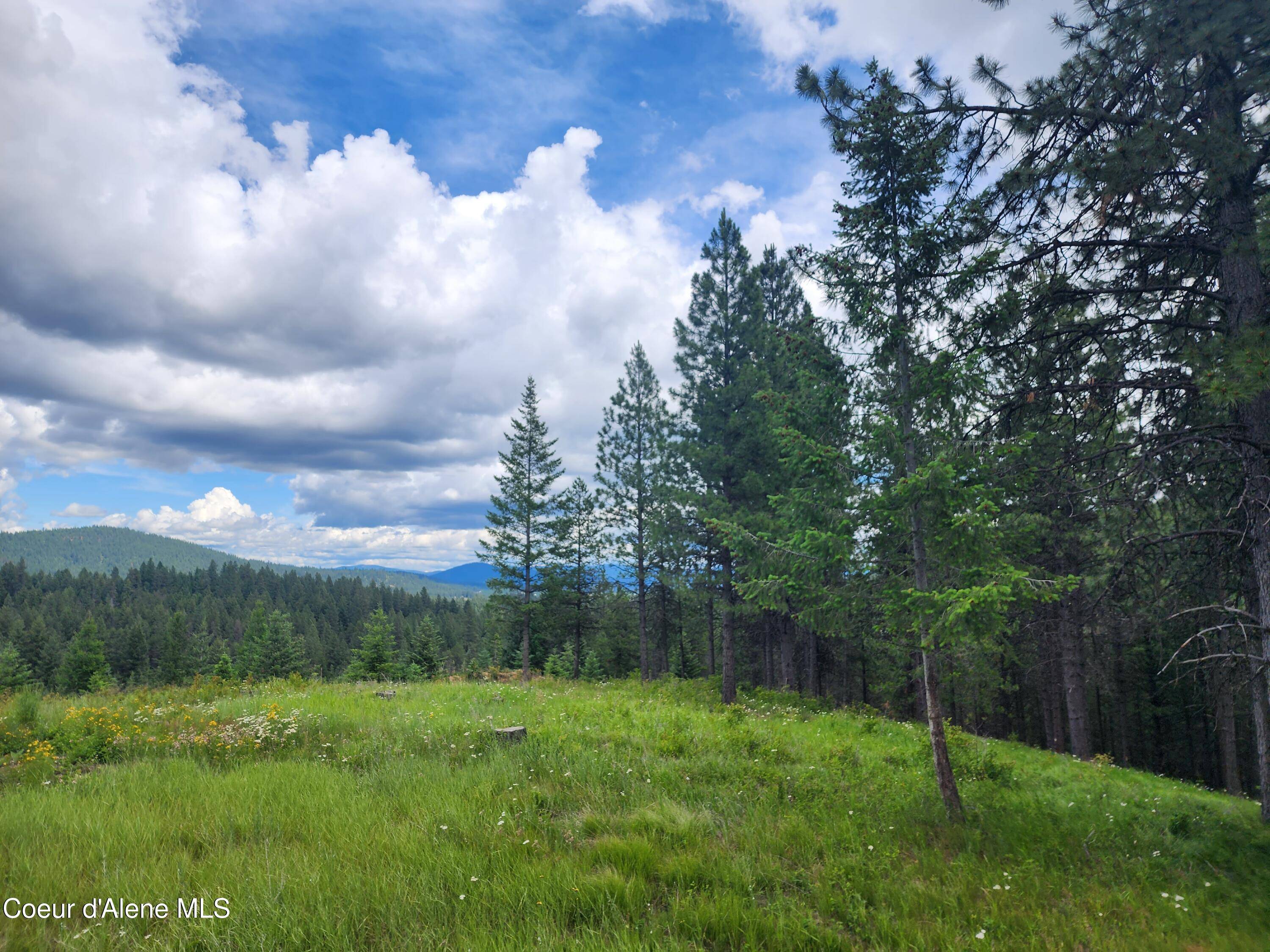 Coeur d'Alene, ID 83814,NNA W 40 Acres Cougar Gulch Rd