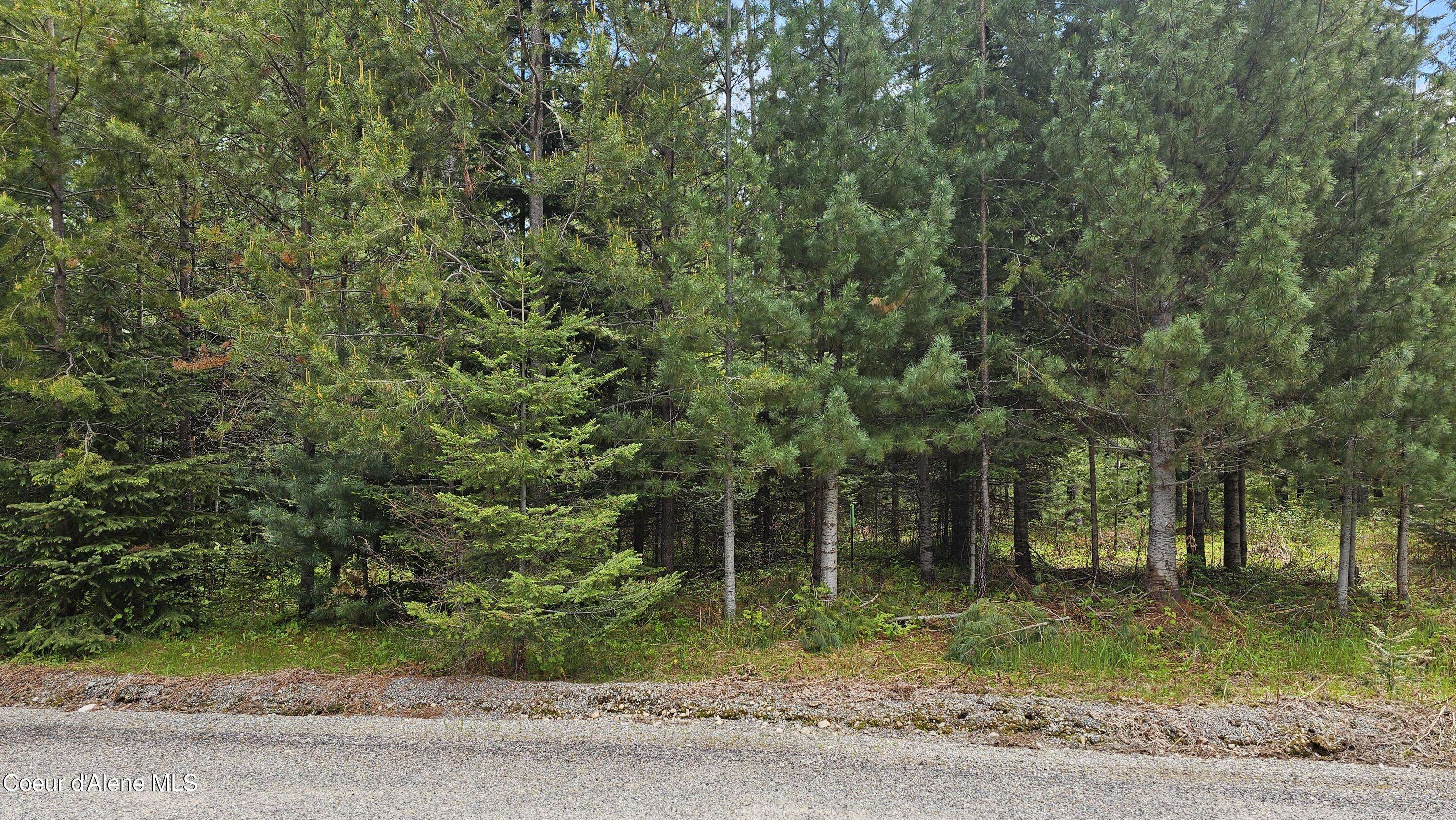Priest Lake, ID 83856,Lot 11 Cougar Run