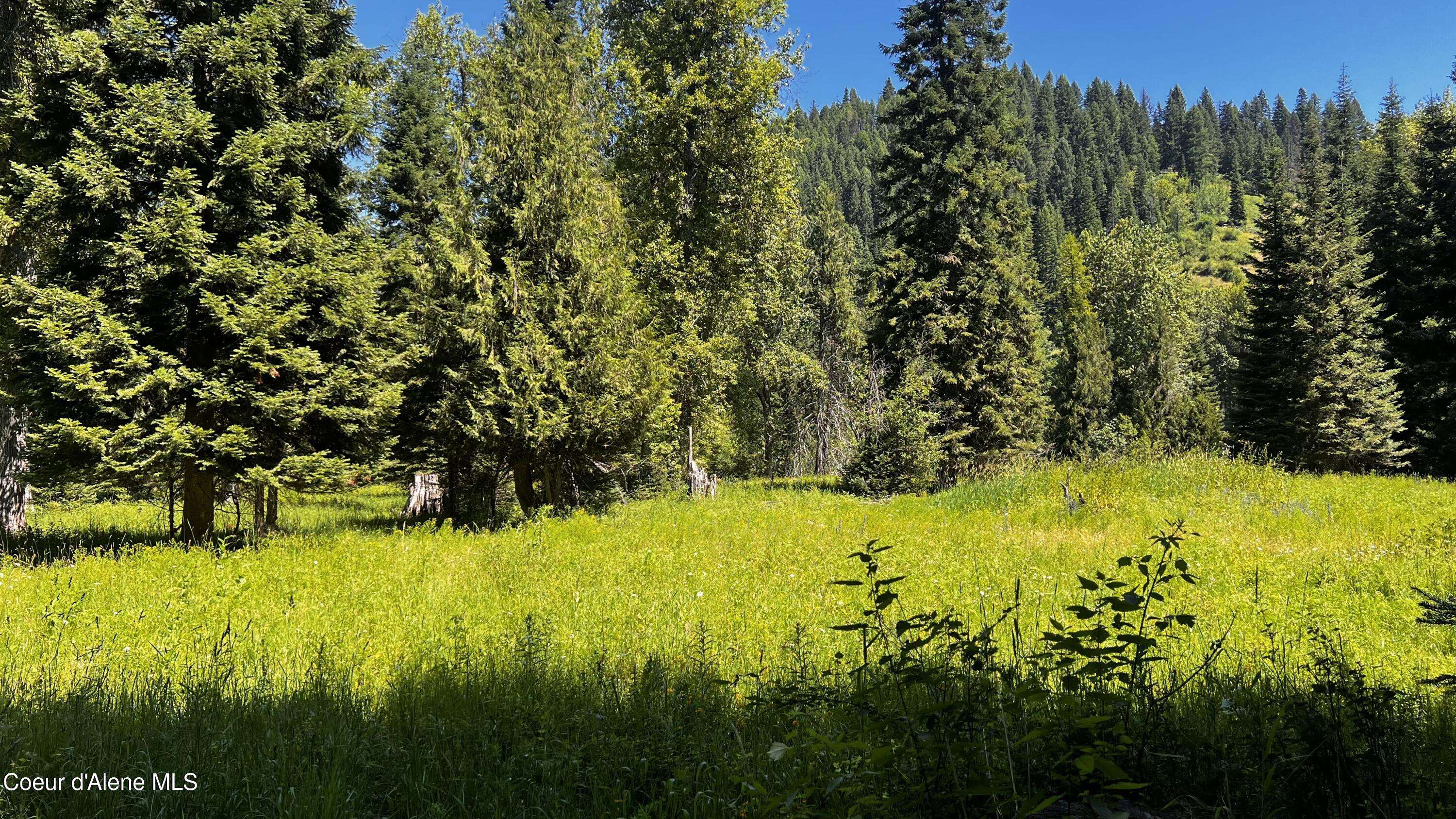 Wallace, ID 83873,NKA Beaver Creek Rd