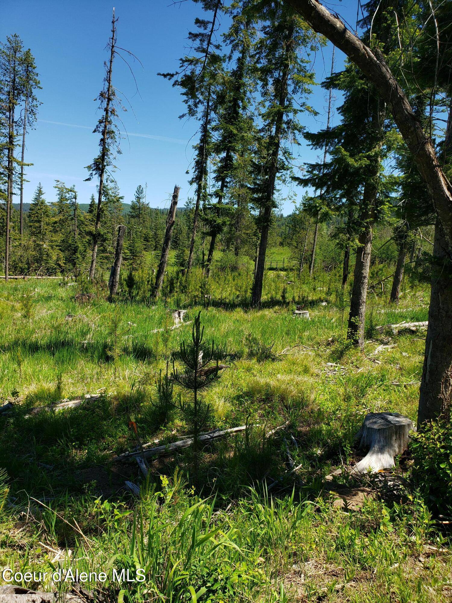 Fernwood, ID 83830,313 Sunset St