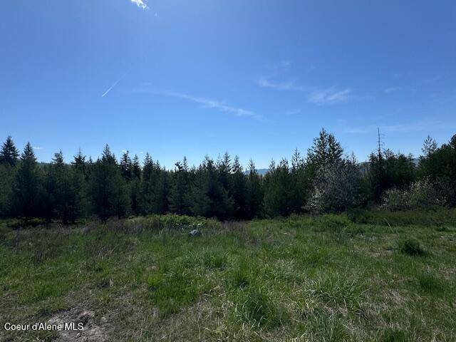 Fernwood, ID 83830,630 Willow LOOP