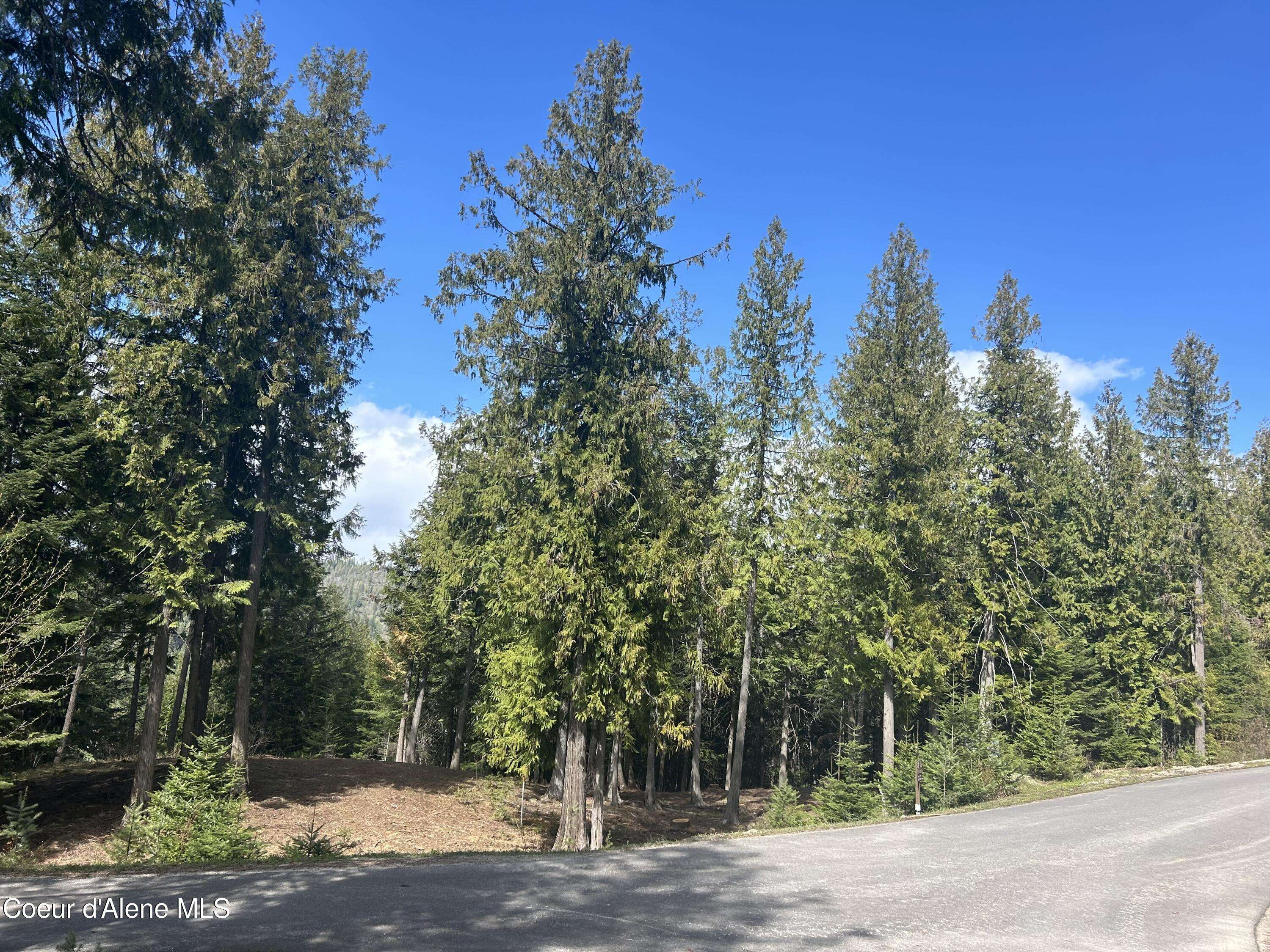Sandpoint, ID 83864,Lot 17 White Cloud Dr