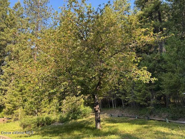Coeur d'Alene, ID 83814,5005 W Cougar Estates Rd