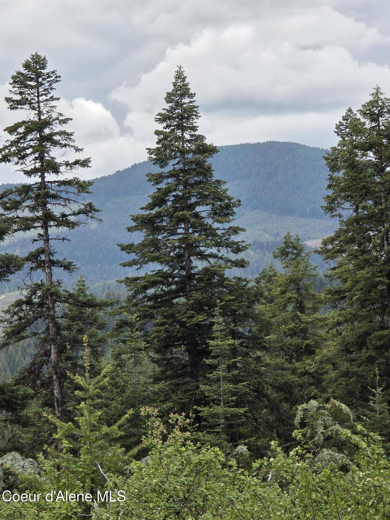 St. Maries, ID 83861,125 Cottage LN