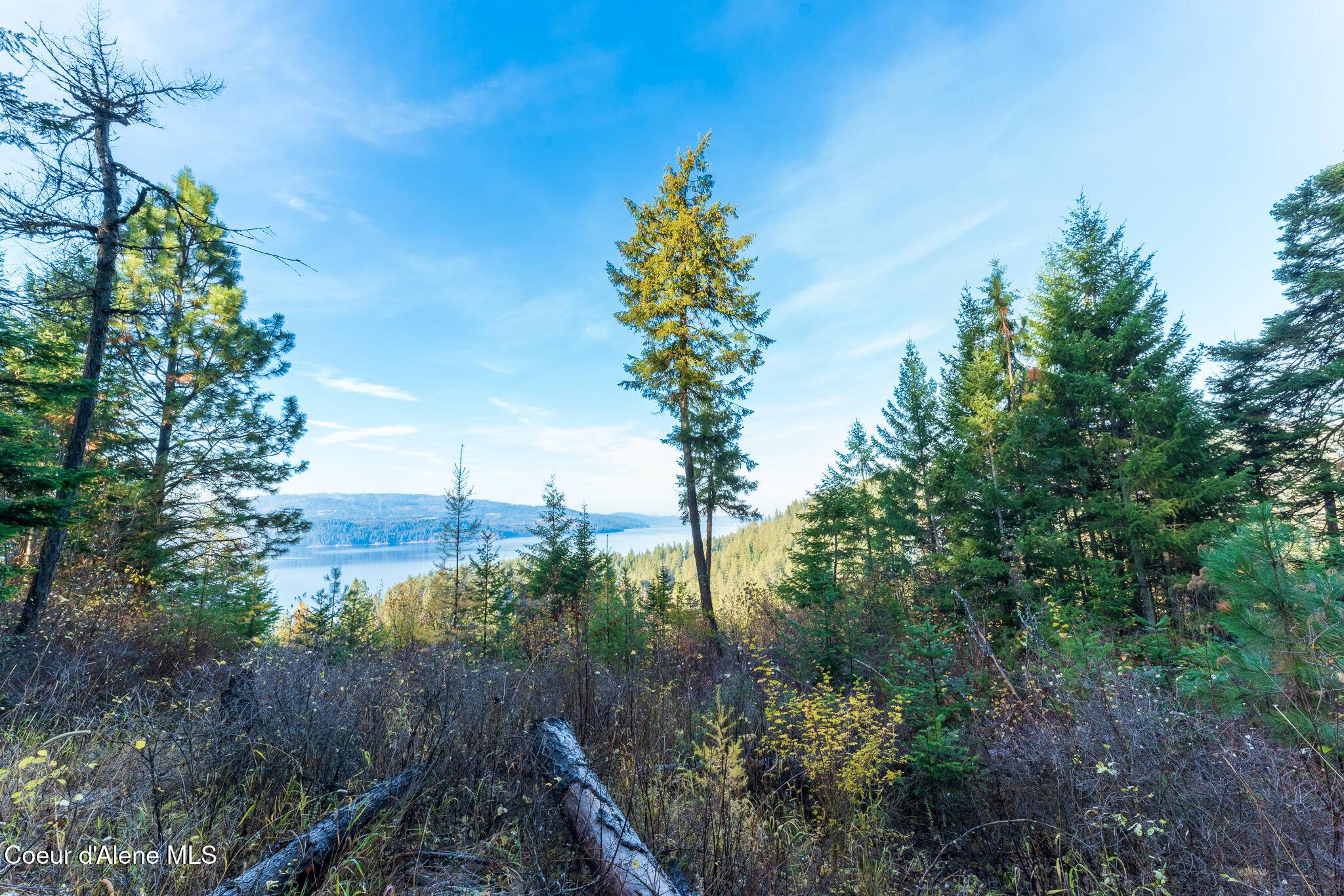 Harrison, ID 83833,NKA 39-Ac Half Round Bay Rd
