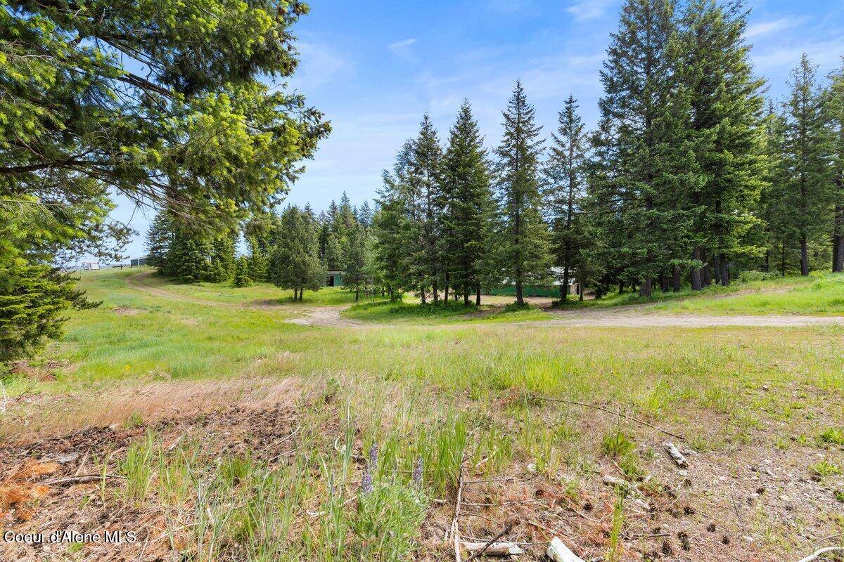 Athol, ID 83801,300 Trails End Rd