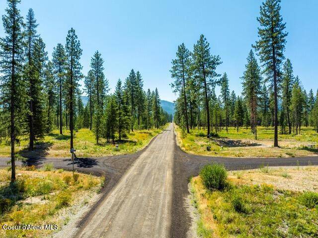 Blanchard, ID 83804,LT 3 BLK 1 CANNON LN