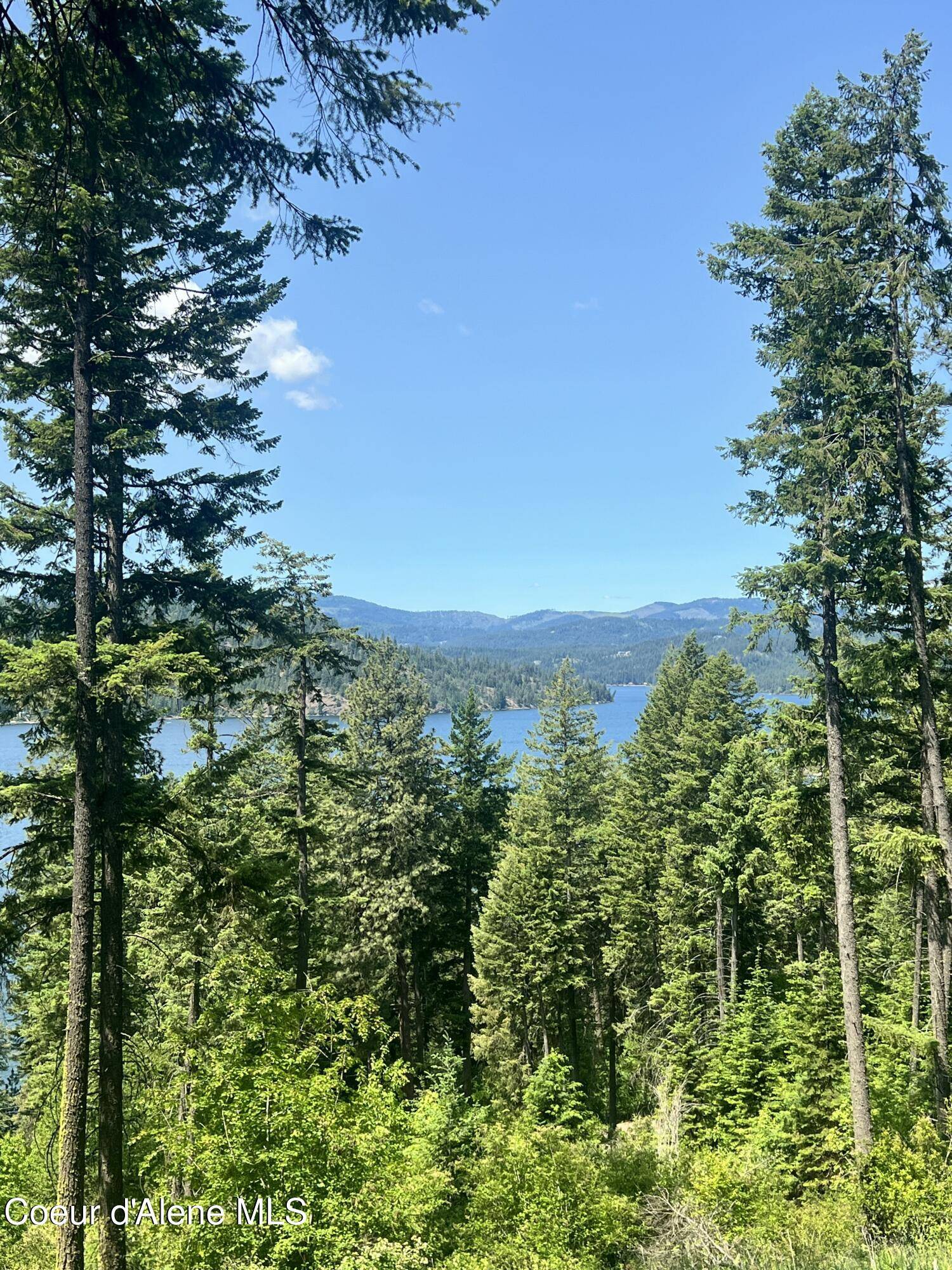 Harrison, ID 83833,NKA E Driftwood Heights Dr