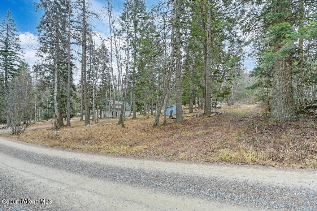 Priest River, ID 83856,NNA Lot 10 Birch Beauty Rd