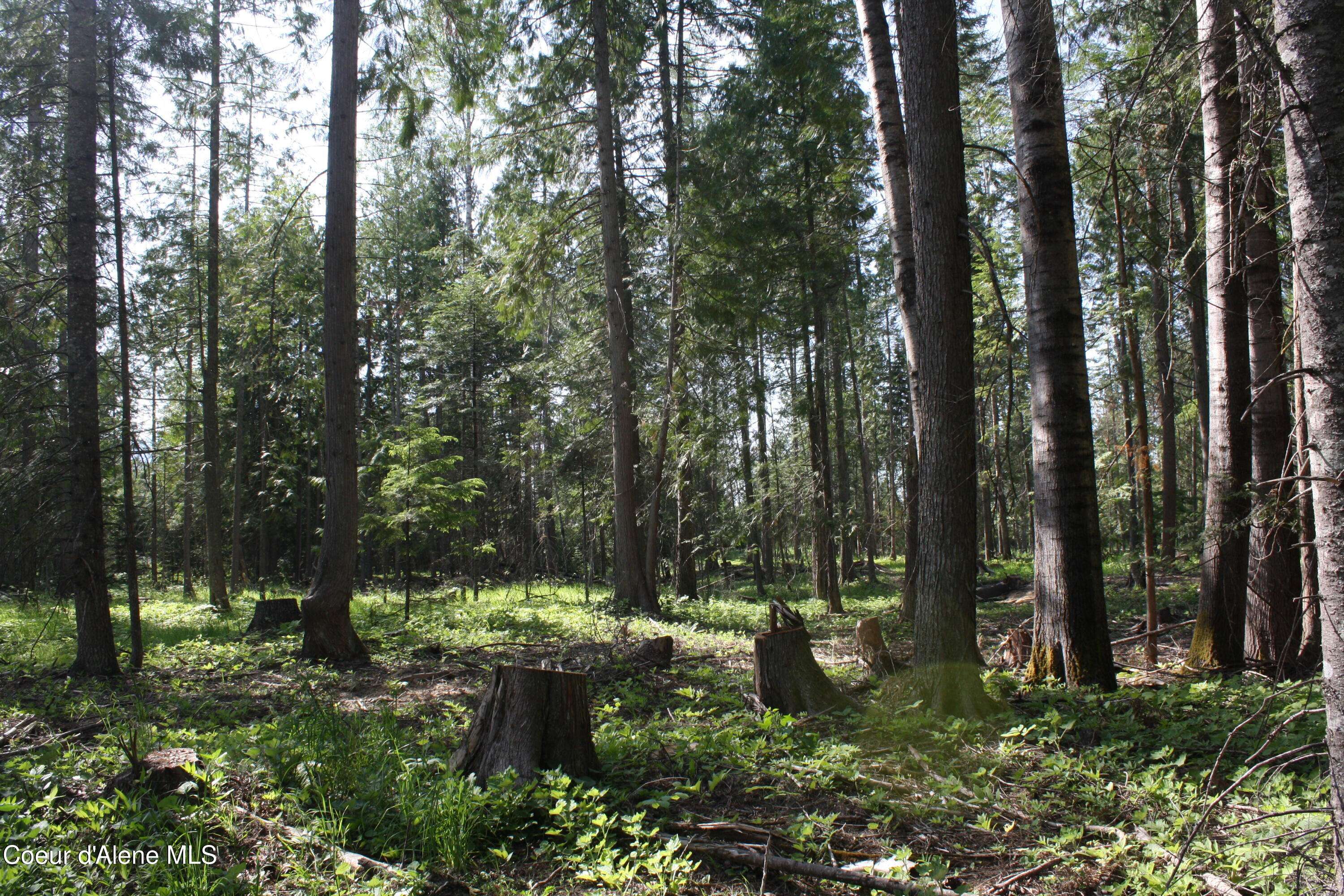 Clark Fork, ID 83811,Lot 4 Riverlake DR