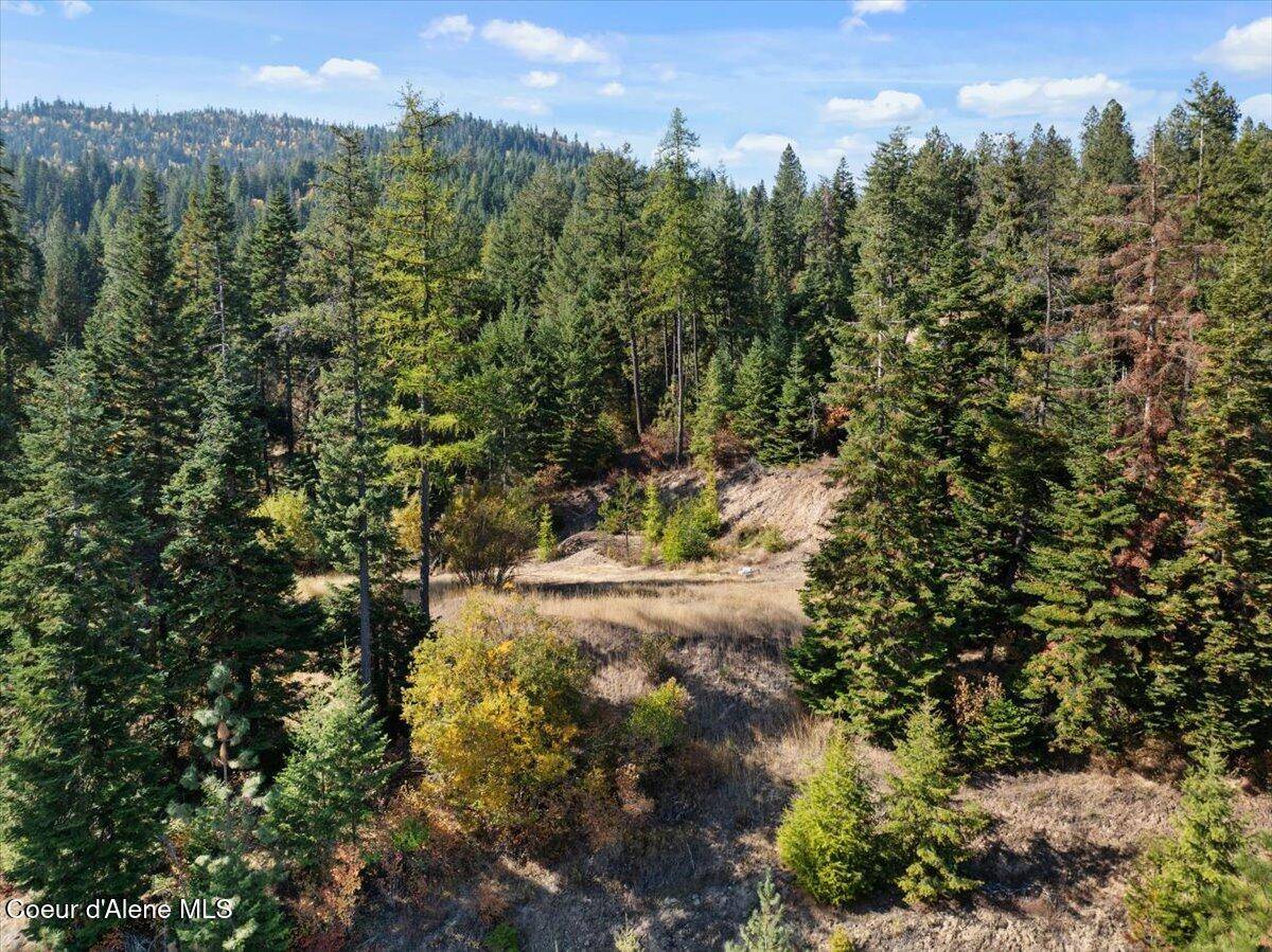 Coeur d'Alene, ID 83814,10368 W Bella Ridge Dr