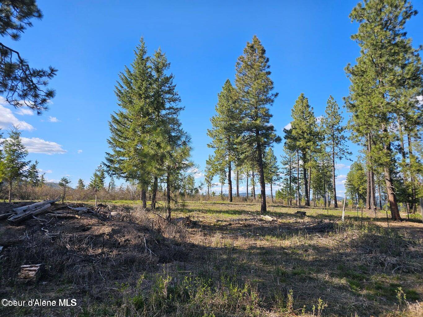 St. Maries, ID 83861,735 Echo Springs Rd