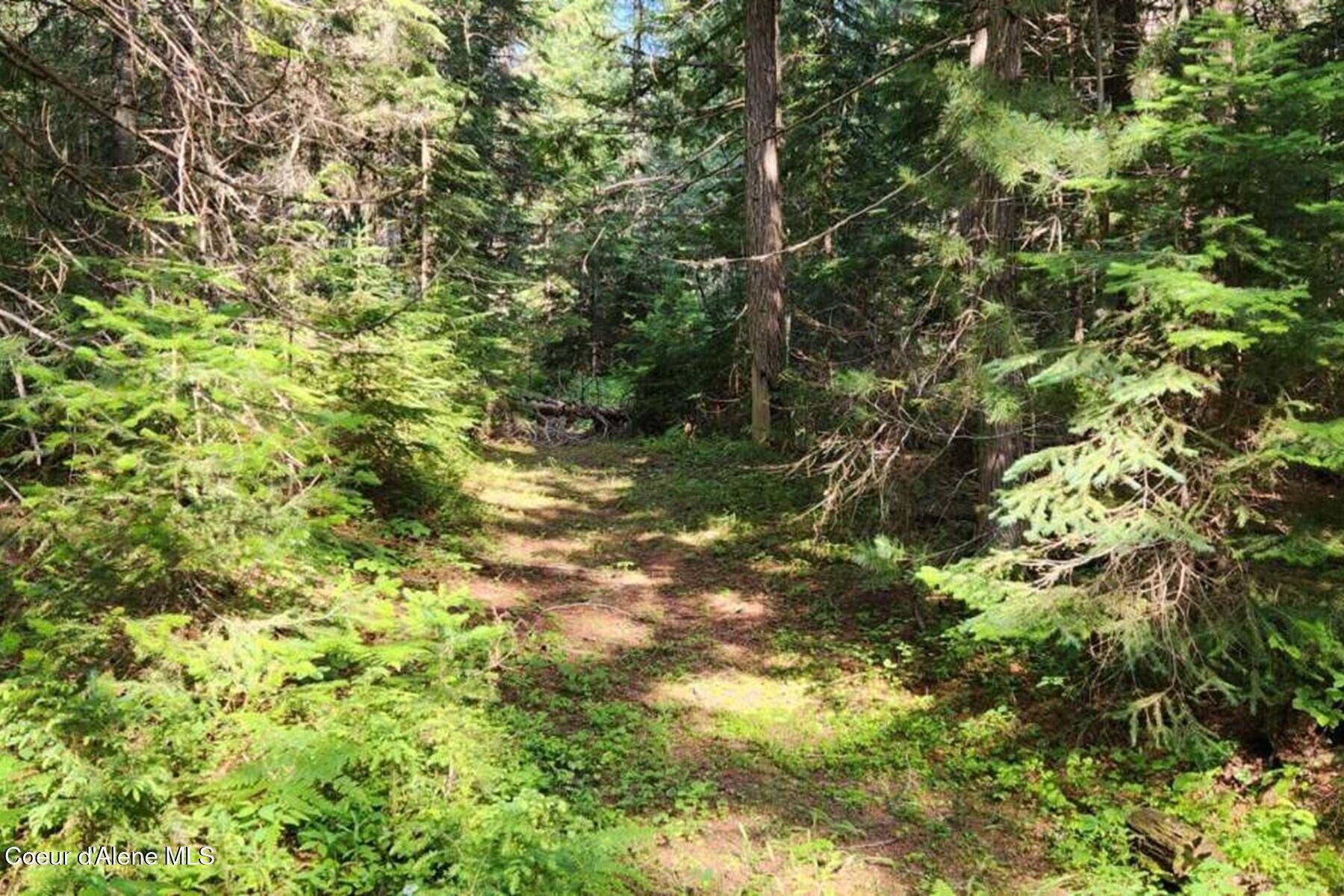 Nordman, ID 83848,000 Reeder Bay Rd