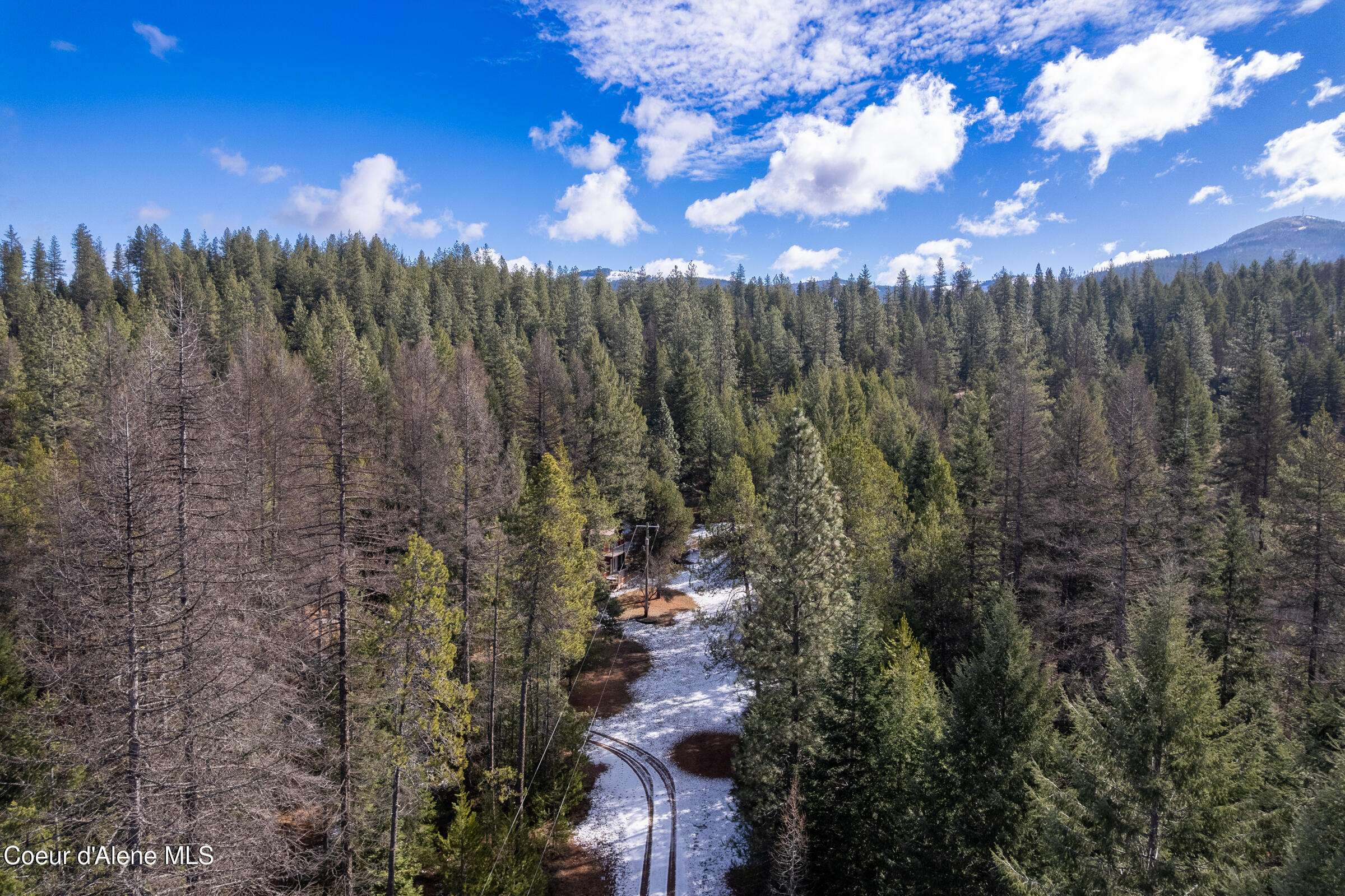 Oldtown, ID 83822,5341 Hoo Doo Loop