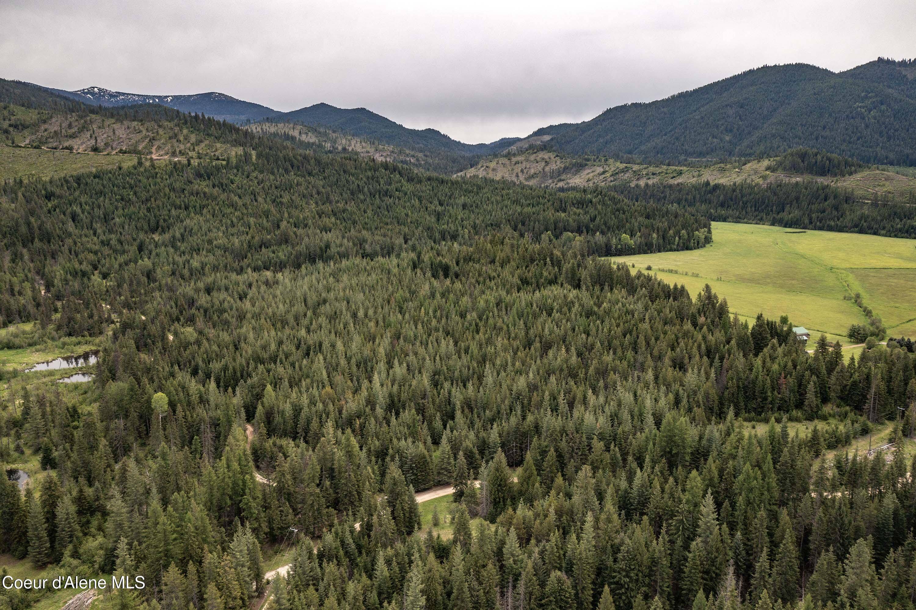 Priest River, ID 83856,NNA Fox Creek Spur