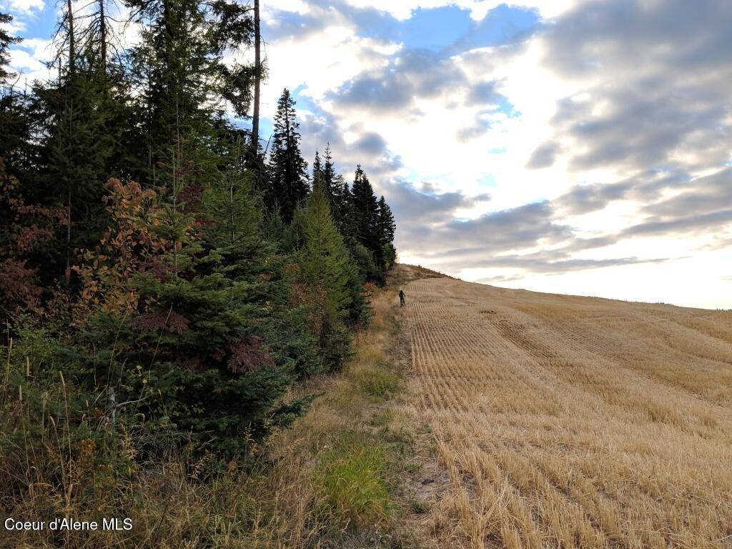 Plummer, ID 83851,352 Camarillo Ln