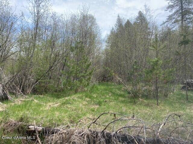 Priest River, ID 83856,1932 Mud Gulch Rd