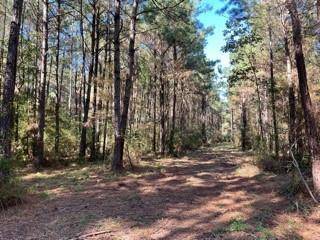 Pineville, LA 71360,Lot 4 Big Lake RD
