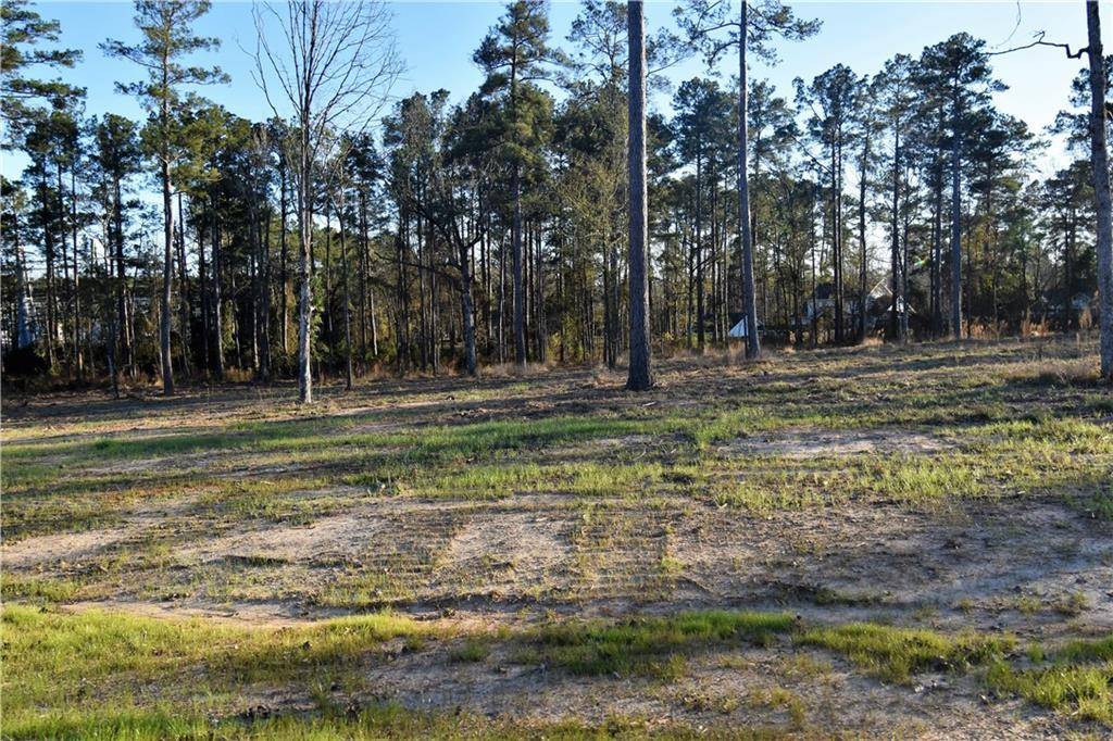 Dry Prong, LA 71423,0 Sophie LN #Lot 41