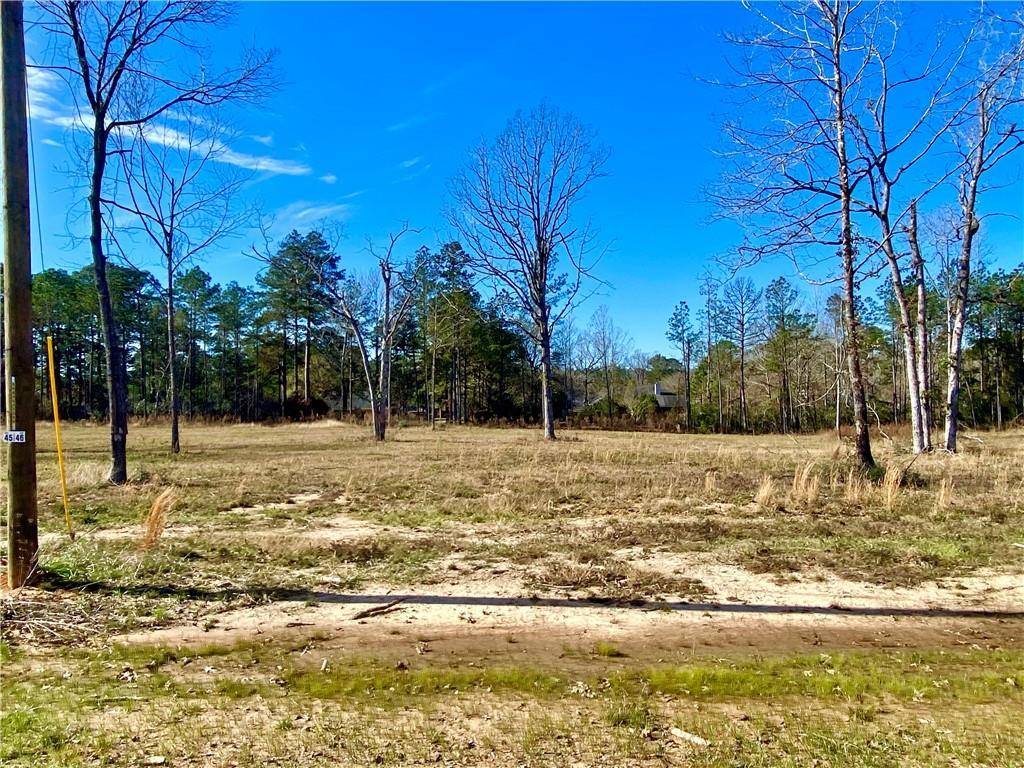 Dry Prong, LA 71423,0 Sophie LN #Lot 46