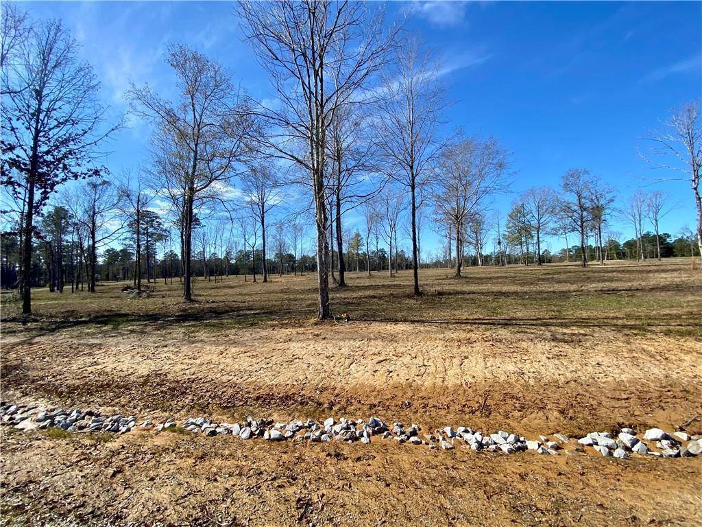 Dry Prong, LA 71423,0 Sophie LN #Lot 53