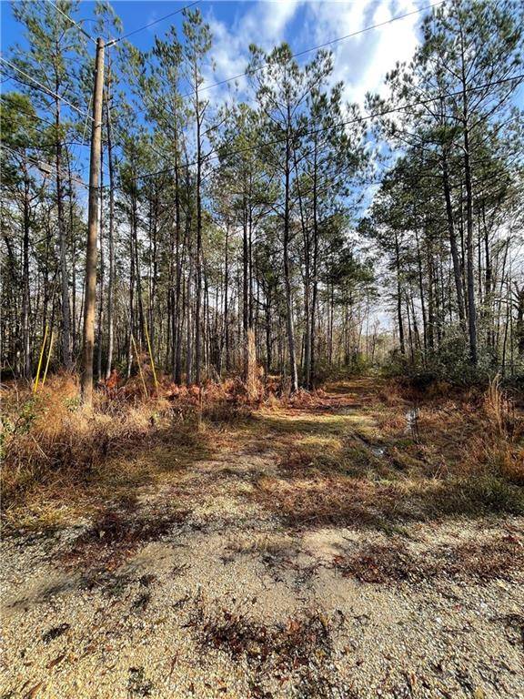 Holden, LA 70744,000 ABBOTT STEWART RD