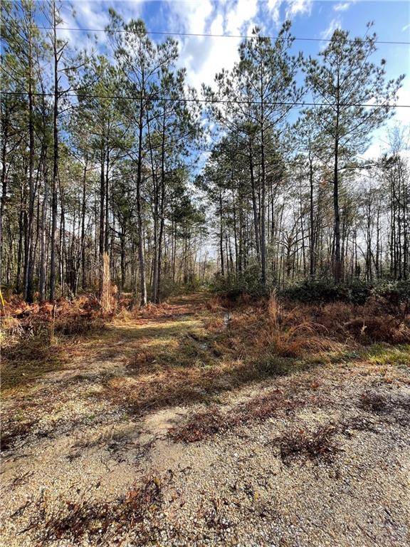 Holden, LA 70744,000 ABBOTT STEWART RD