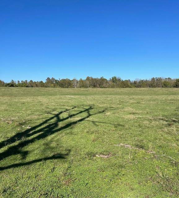 Alexandria, LA 71303,0 OLD BOYCE LOT 2 (4.95 ACRES) RD