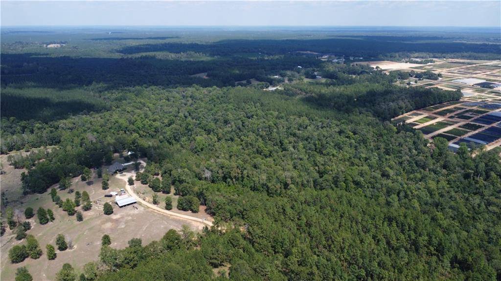 Franklinton, LA 70438,162 Acres MOCKING BIRD HILL RD