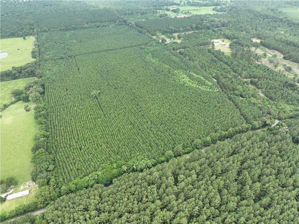 Sandy Hook, MS 39478,TBD MILITARY RD