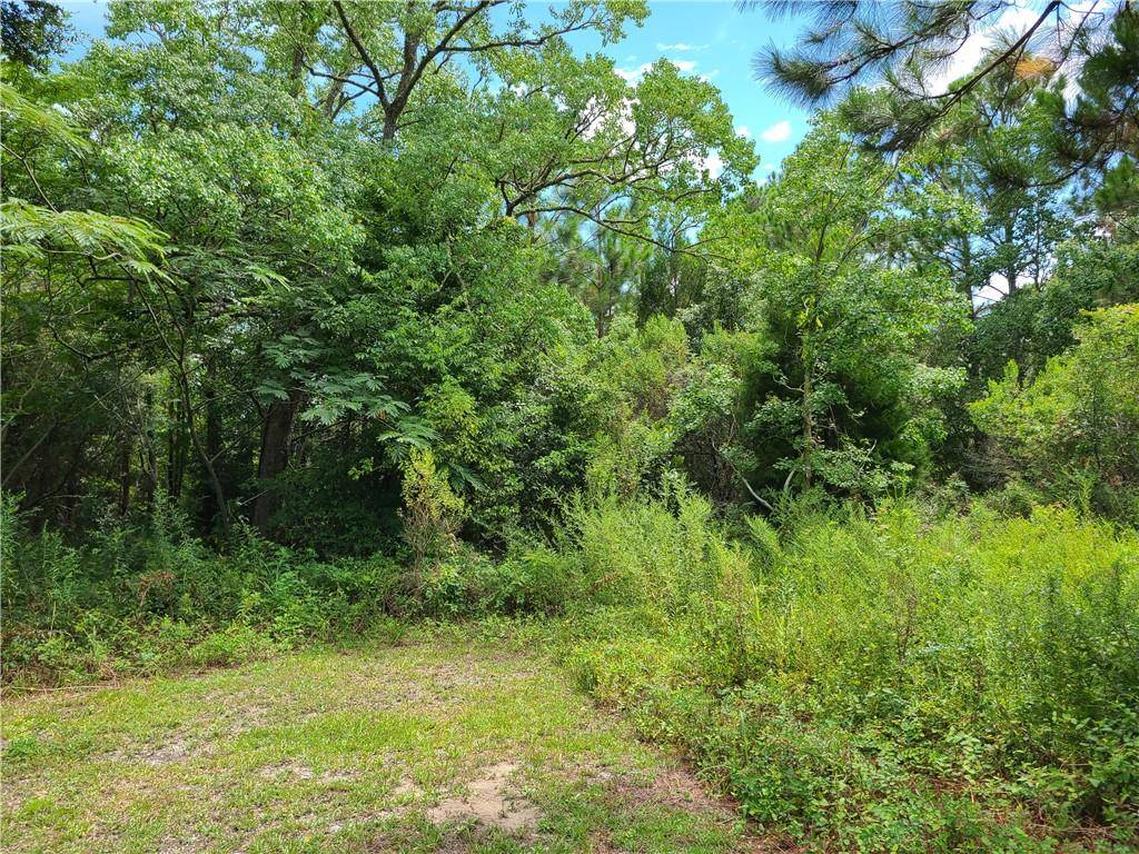 Pass Christian, MS 39571,225 BAYVIEW ST