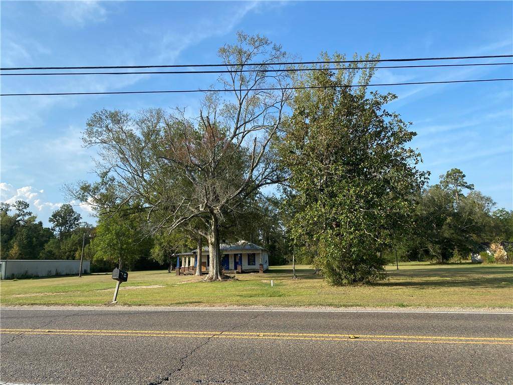 Springfield, LA 70462,27218 HWY 42 HWY