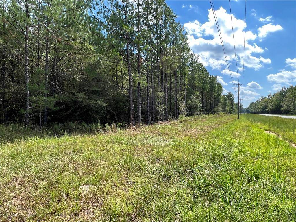 Franklinton, LA 70438,Lot 2 HWY 1072 HWY