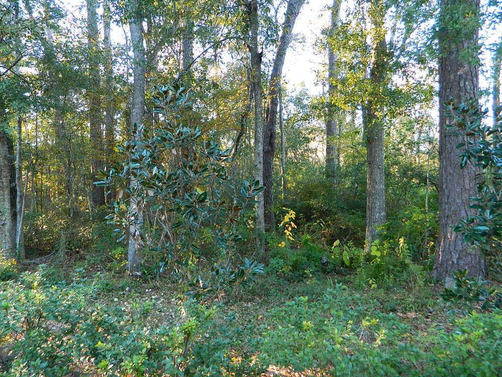 Covington, LA 70433,LOT 13B OLD LANDING RD