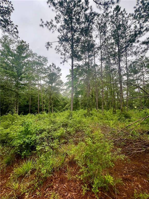 Franklinton, LA 70438,Lot 3 and 7 ROBIN RD