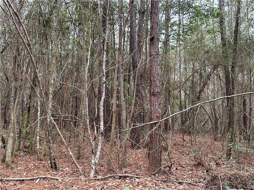 Bush, LA 70431,21263 HIGHWAY 40 HWY