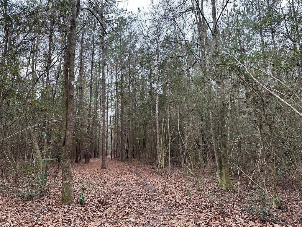 Bush, LA 70431,21263 HIGHWAY 40 HWY