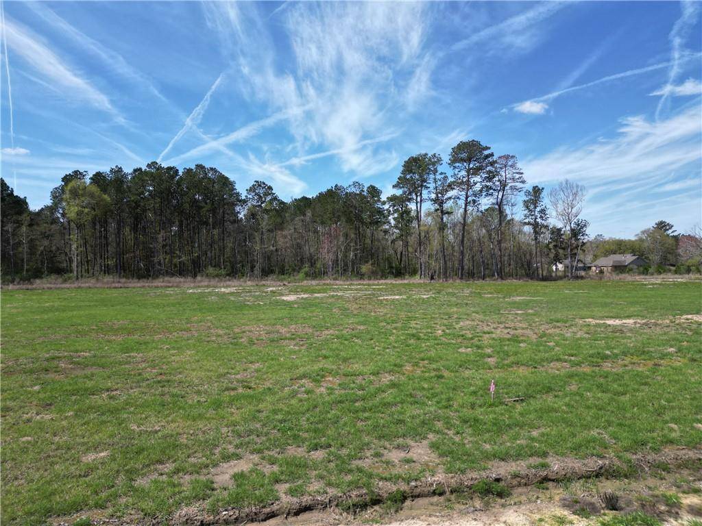 Independence, LA 70443,24755 HIGHWAY 442 (LOT A-3) HWY