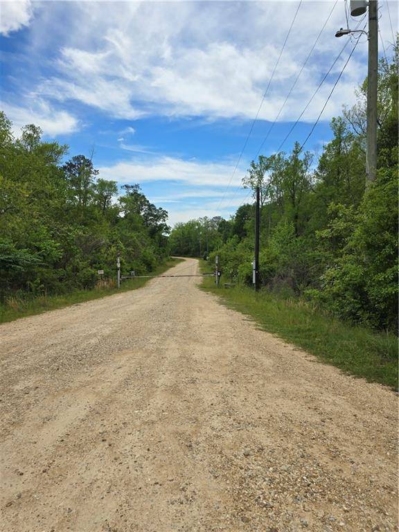 Franklinton, LA 70438,14084 HOLDEN'S RUN