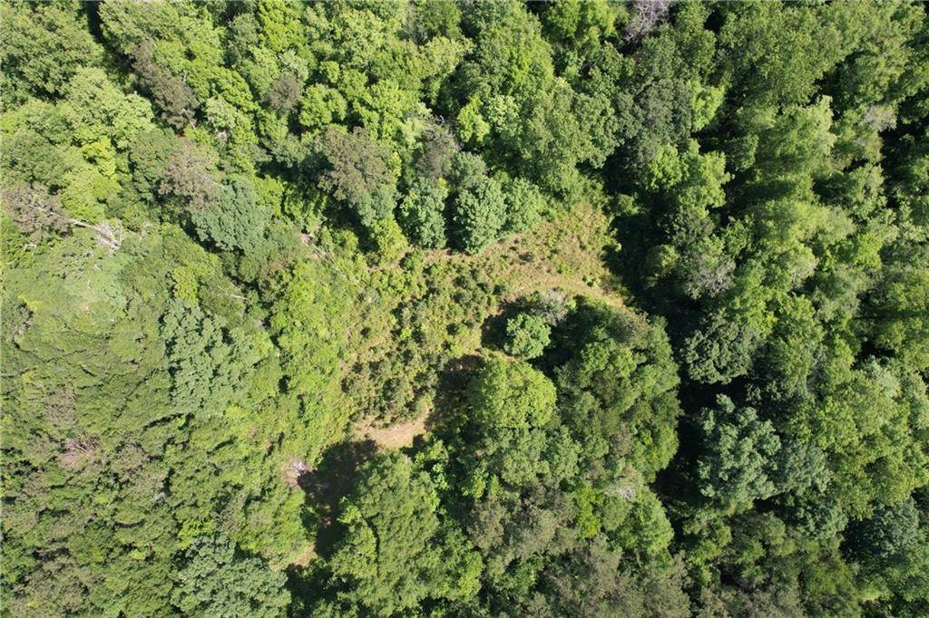 Franklinton, LA 70438,21.216 Acres LAWRENCE CREEK RD