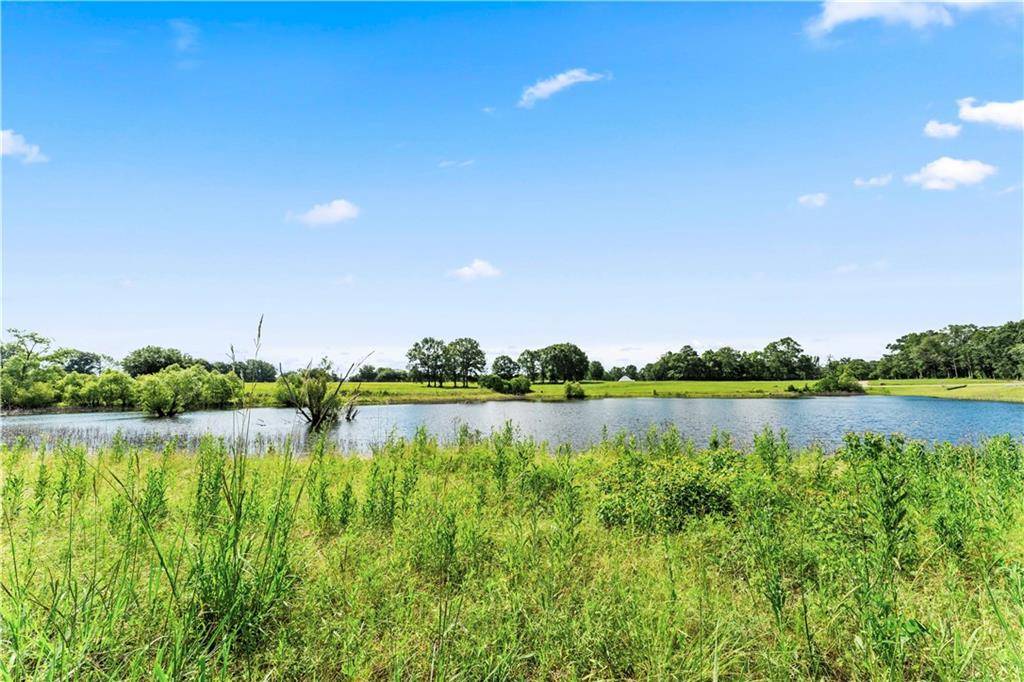 Franklinton, LA 70438,5.3AC HWY 10