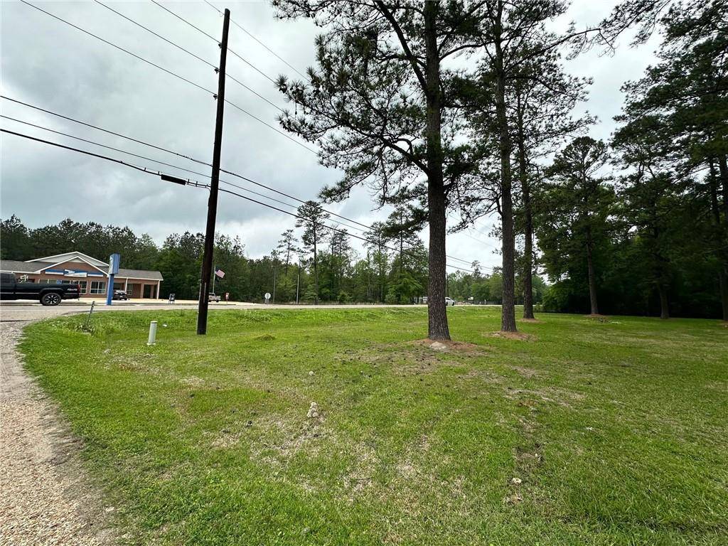 Robert, LA 70455,TBD LA 445 HWY