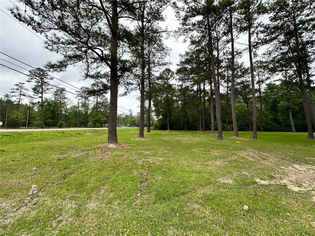 Robert, LA 70455,TBD LA 445 HWY